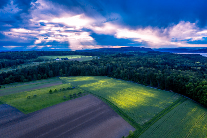 DJI_0466